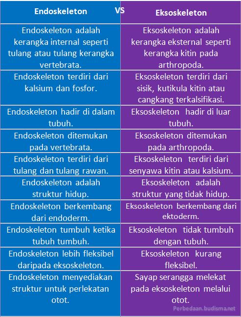 Tabel Perbedaan Endoskeleton dan Eksoskeleton