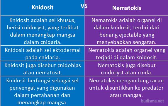 Tabel Perbandingan Knidosit dan Nematokis