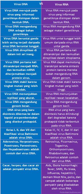 Tabel Perbedaan Virus DNA dan Virus RNA