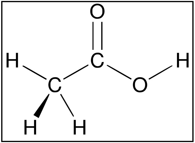 asam organik