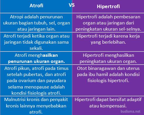 Tabel Perbandingan Atrofi dan Hipertrofi