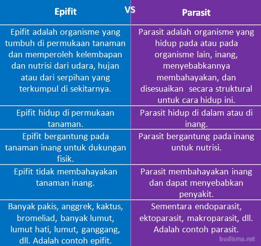 Tabel Perbandingan Epifit dan Parasit