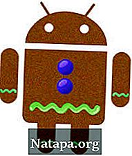 Read more about the article Perbedaan antara Android Gingerbread dan Ice Cream Sandwich
