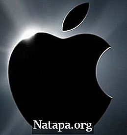 Read more about the article Perbedaan antara Apple dan Mac