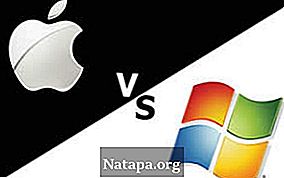 Read more about the article Perbedaan antara Apple dan Windows