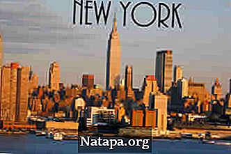 Perbedaan antara New York dan Chicago