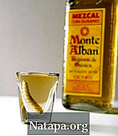 Perbedaan antara Tequila dan Mezcal