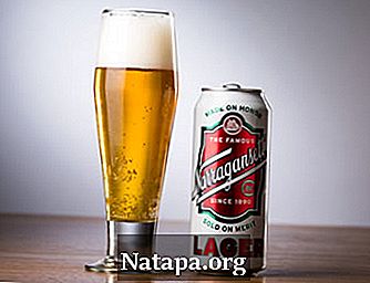 Perbedaan antara Lager dan Pilsner Beer