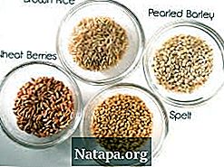 Perbedaan antara Malt, Barley dan Grain