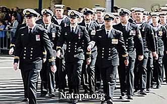 Read more about the article Perbedaan antara Angkatan Laut dan Marinir