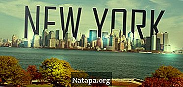 Read more about the article Perbedaan antara New York dan Newark