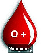 Read more about the article Perbedaan antara O + dan O-Golongan Darah