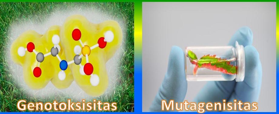 Perbedaan Genotoksisitas dan Mutagenisitas