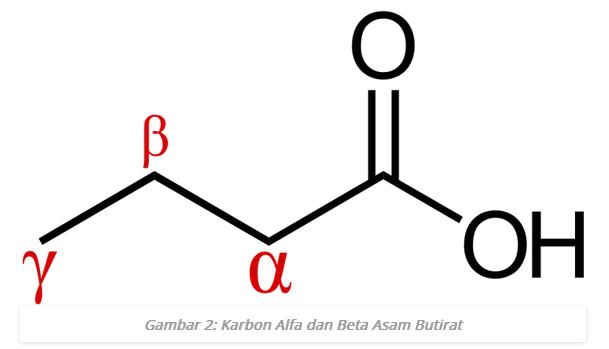 Perbedaan Karbon Alfa dan Karbon Beta