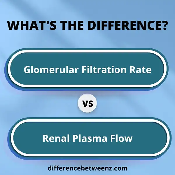 Perbedaan antara Laju Filtrasi Glomerulus dan Aliran Plasma Ginjal