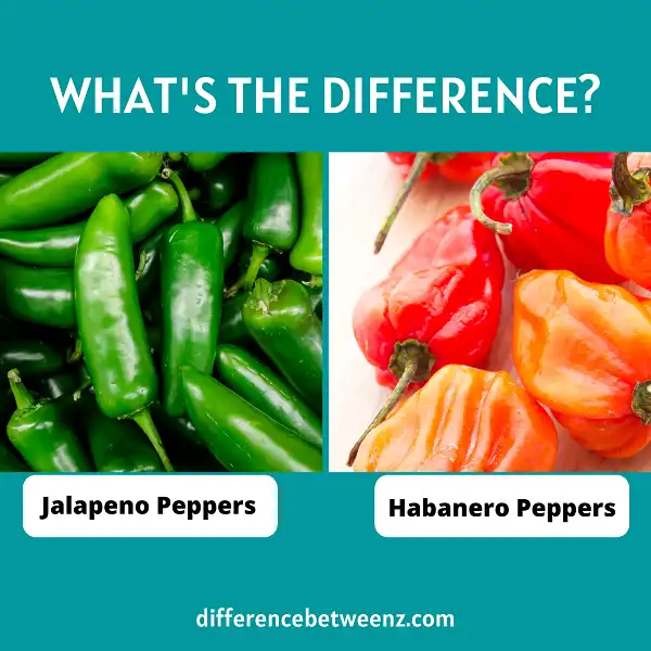 Perbedaan Jalapeno dan Habanero Peppers