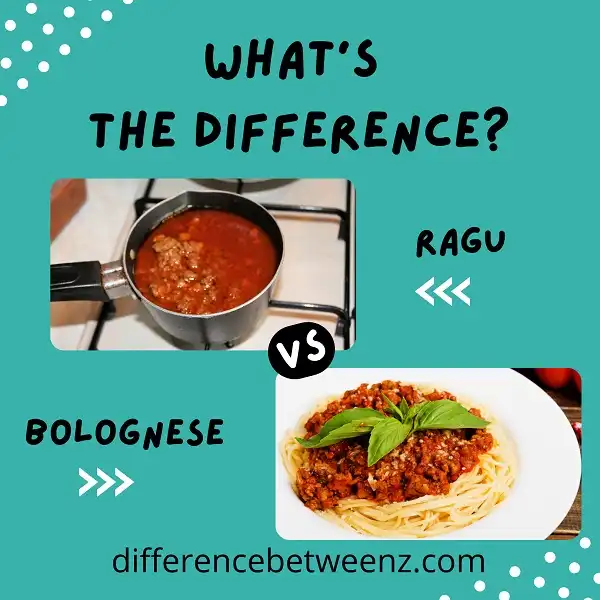 Perbedaan antara Ragu dan Bolognese